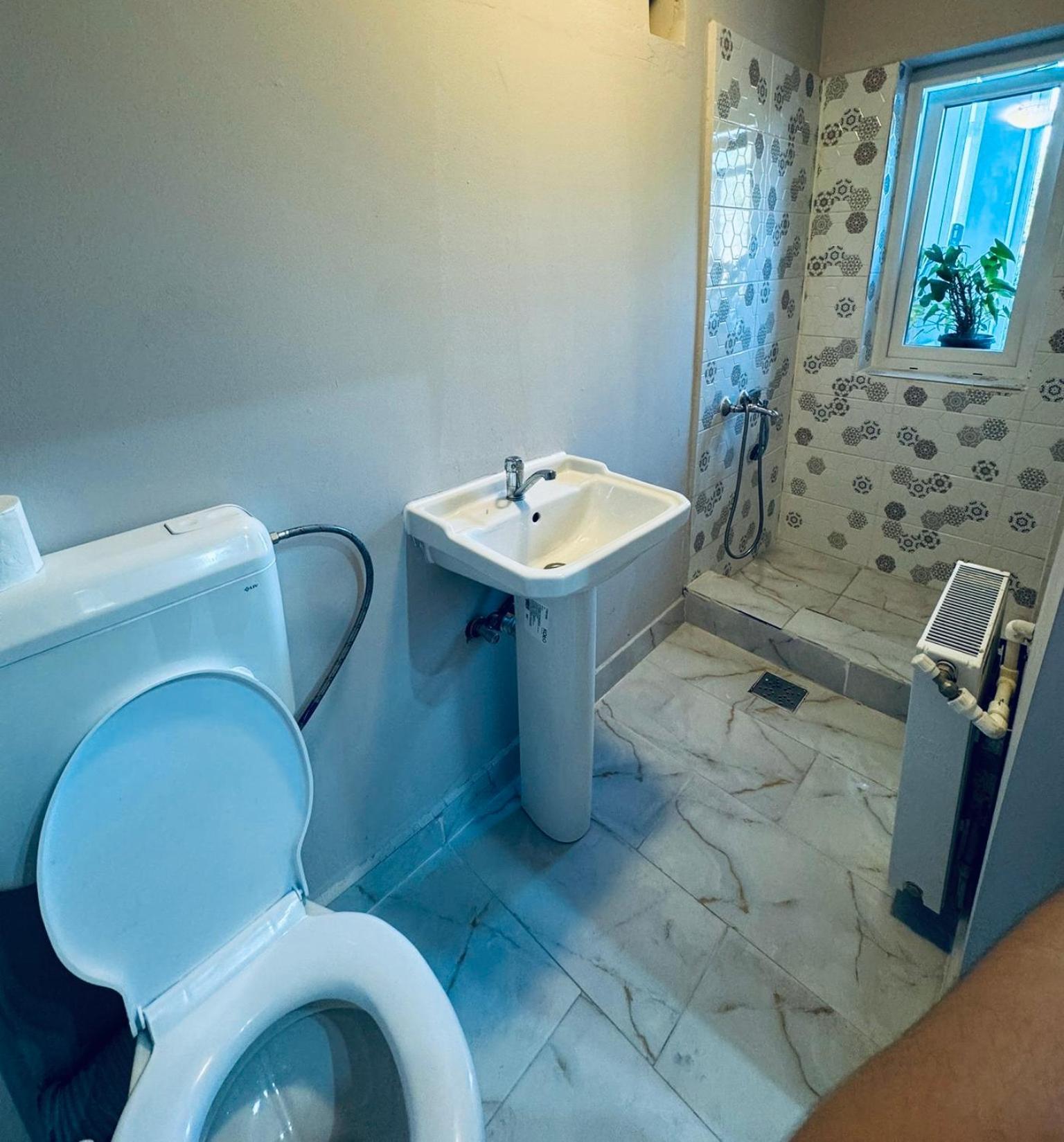 Serbian House Timişoara Extérieur photo